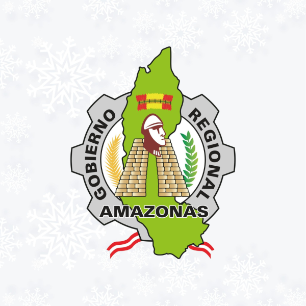 GOBIERNO REGIONAL DE AMAZONAS